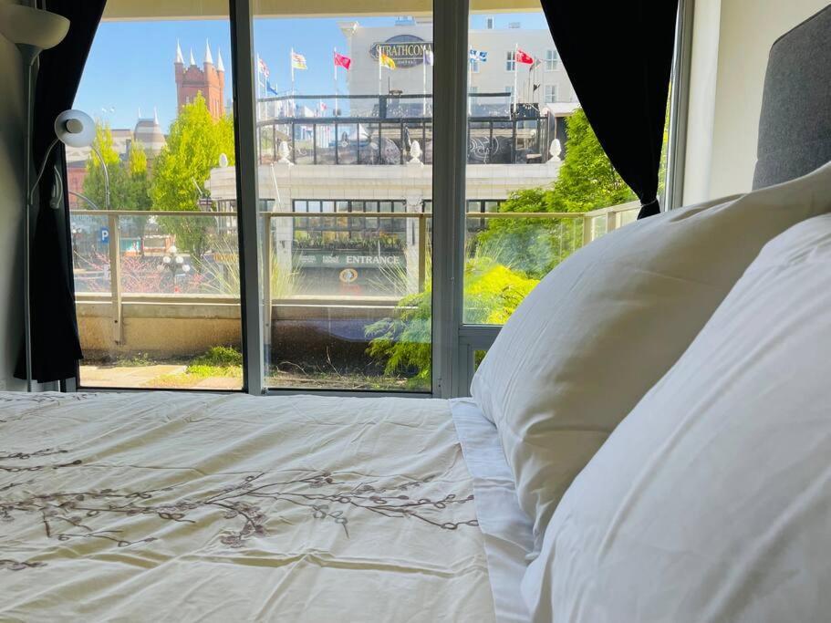 Spacious Downtown 2 Bedroom Condo With Pool And Air Conditioning Victoria Exterior photo